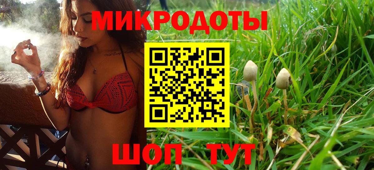 Рубцовск  Псилоцибиновые грибы прущие грибы  Вход с VPN 